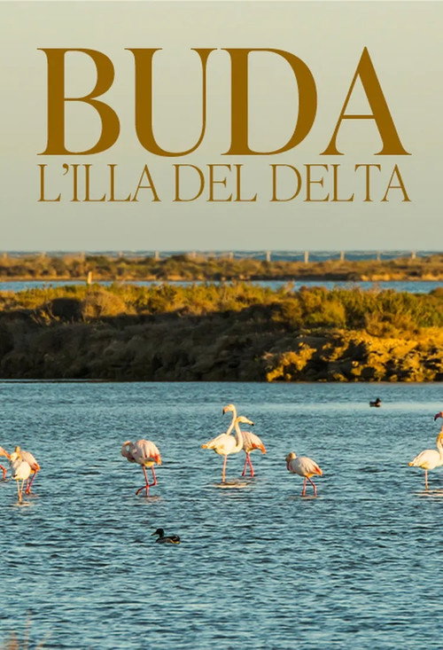 Buda, l'illa del Delta poster