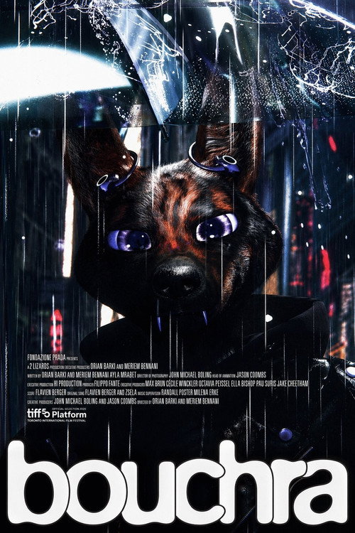 Bouchra poster
