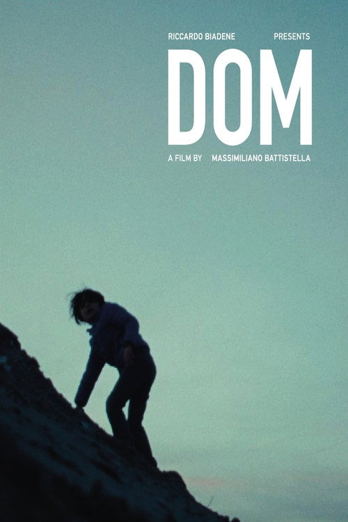 Dom poster