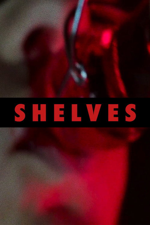 Shelves poster