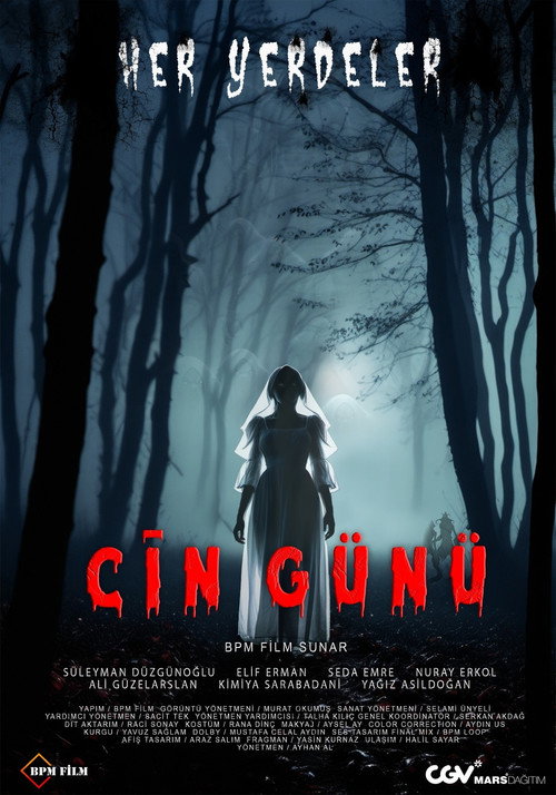 Cin Günü poster