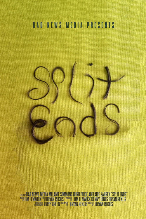 Split Ends poster