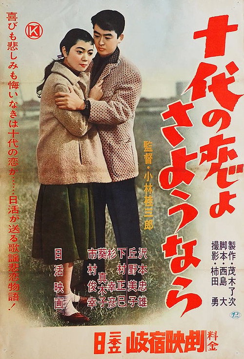 Goodbye Teenage Love poster