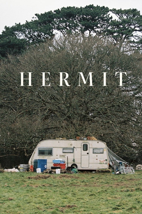 Hermit poster