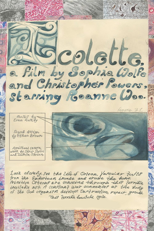 Icolette poster