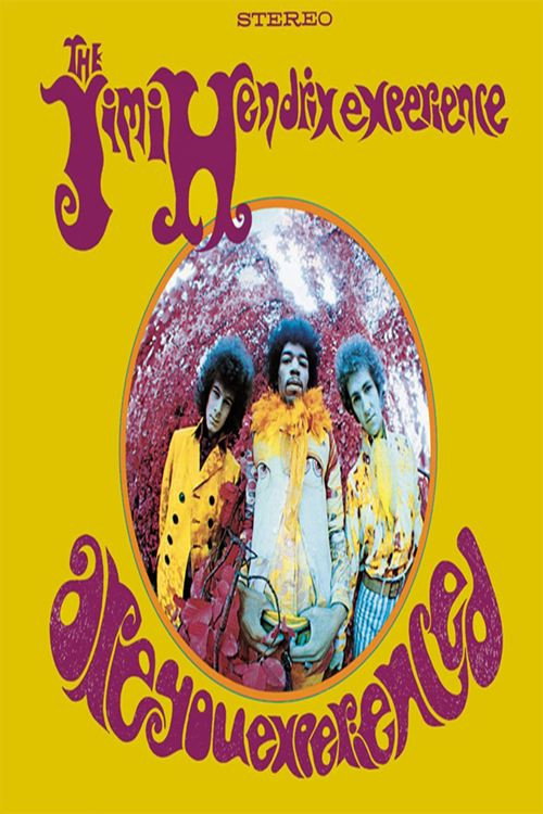 Are You Experienced: An Inside Look poster