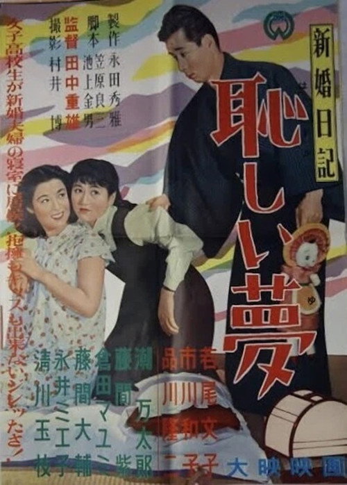 Newlywed Diary: An Embarrassing Dream poster