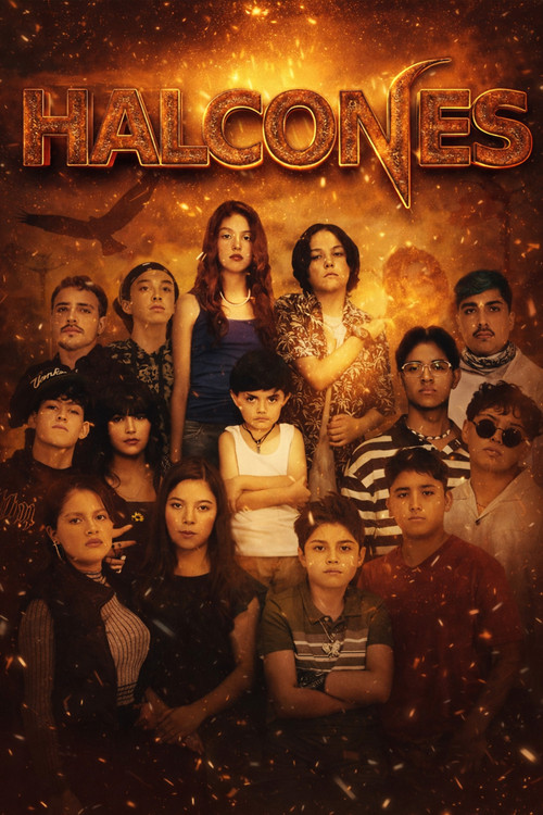 Falcons poster
