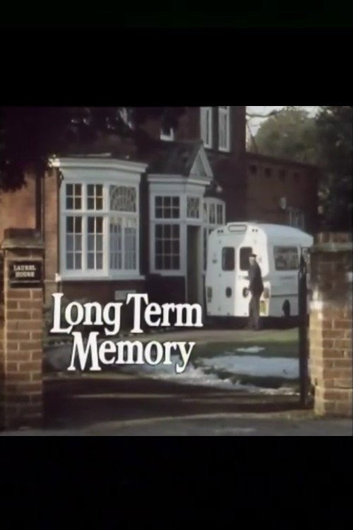 Long Term Memory poster