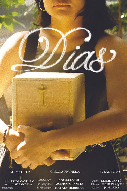 Días poster