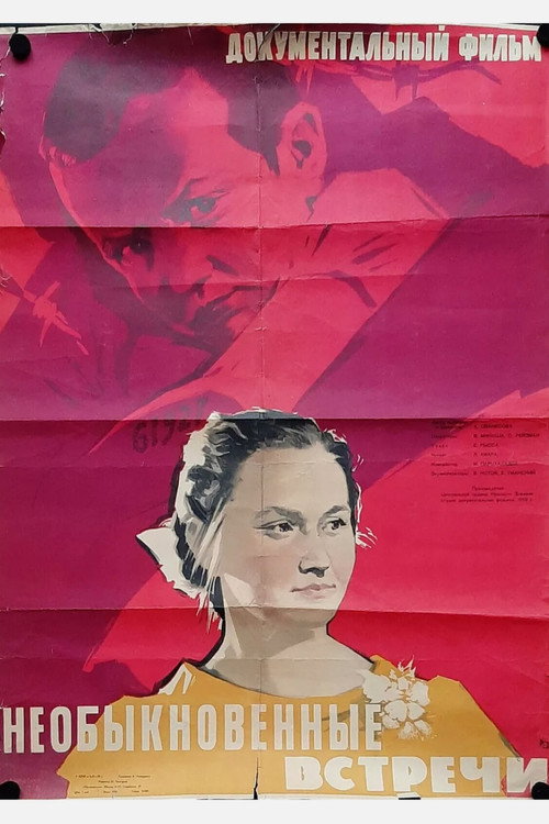Extraordinary Meetings poster