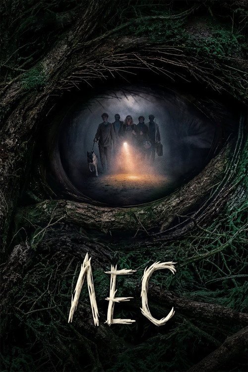 Forest poster