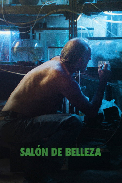Salón de Belleza poster