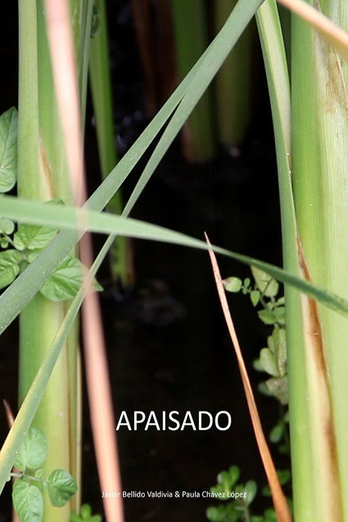 Apaisado poster