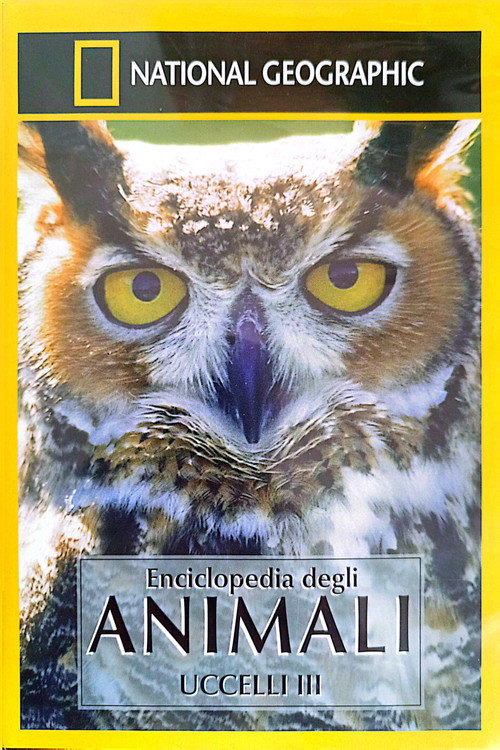 Owls: Silent Hunters poster