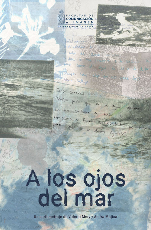 A los ojos del mar poster