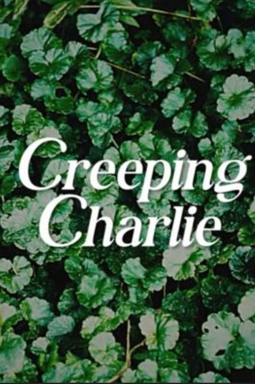 Creeping Charlie poster