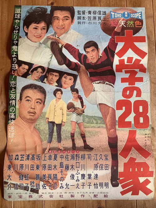The College Ruggers poster