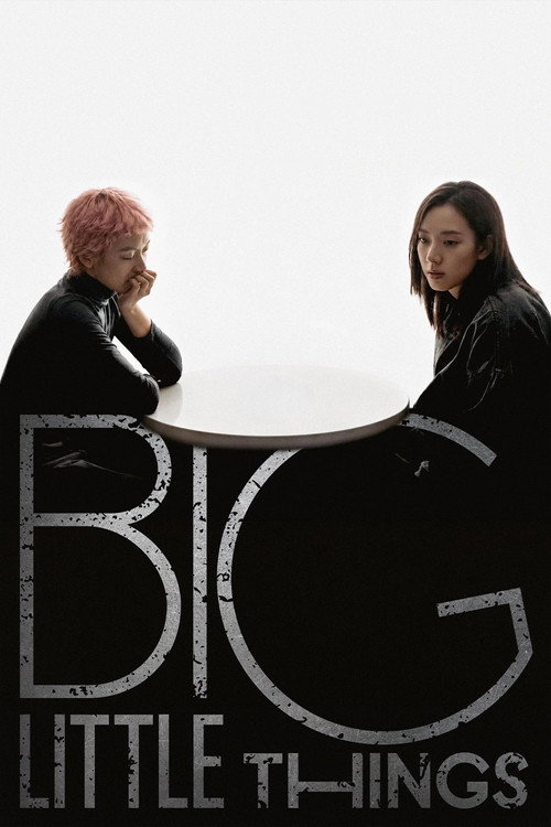 Big Little Things poster