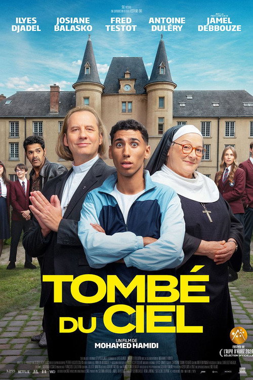 Tombé du ciel poster