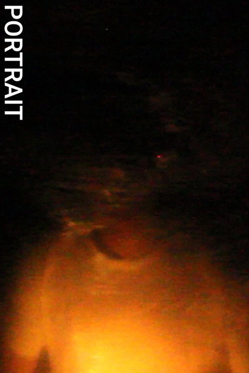 Portrait poster
