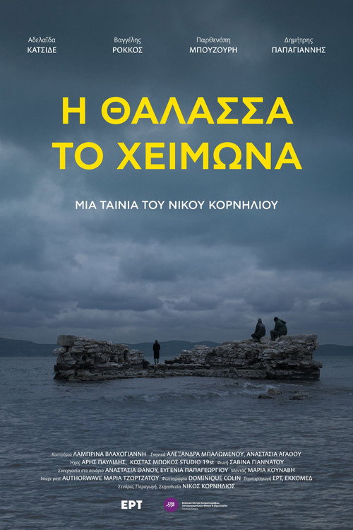 Winter Sea poster