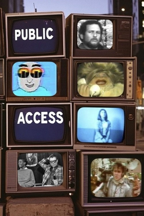 Public Access poster