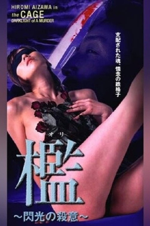 The Cage - Darklight of a Murder poster