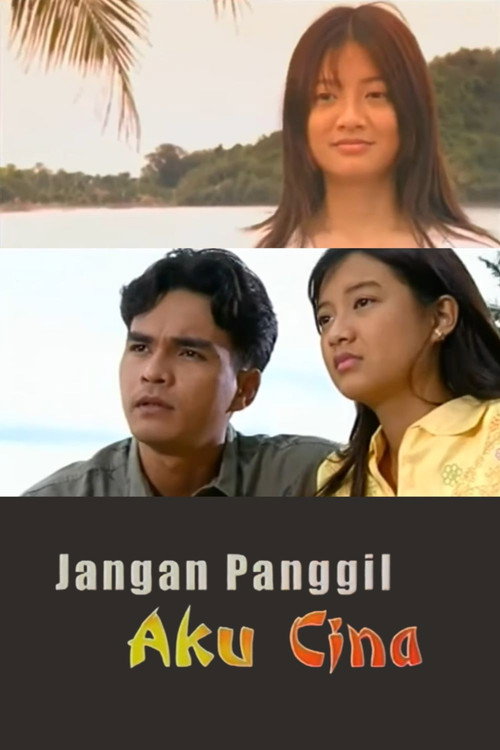 Jangan Panggil Aku Cina poster