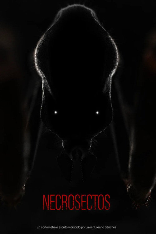 Necrosectos poster