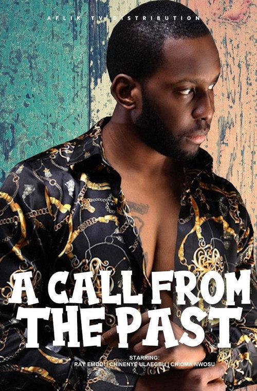 A Call from the Past poster