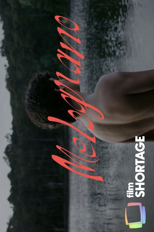 Melograno poster