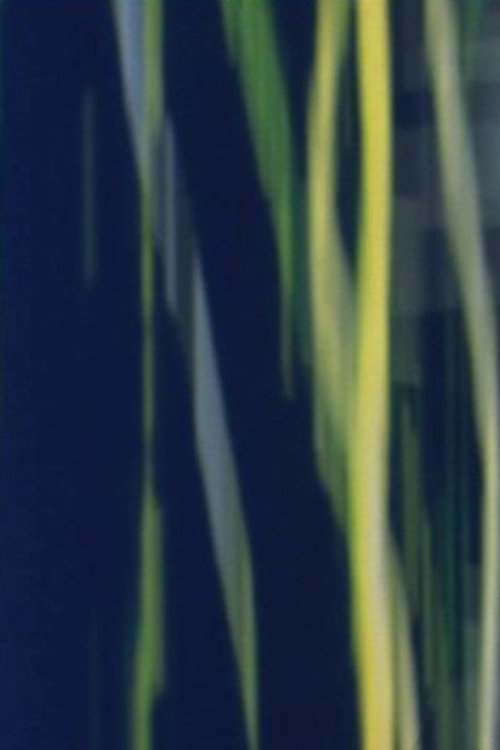 Exploratorium Film poster