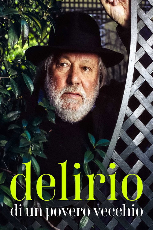 Delirio di un povero vecchio poster