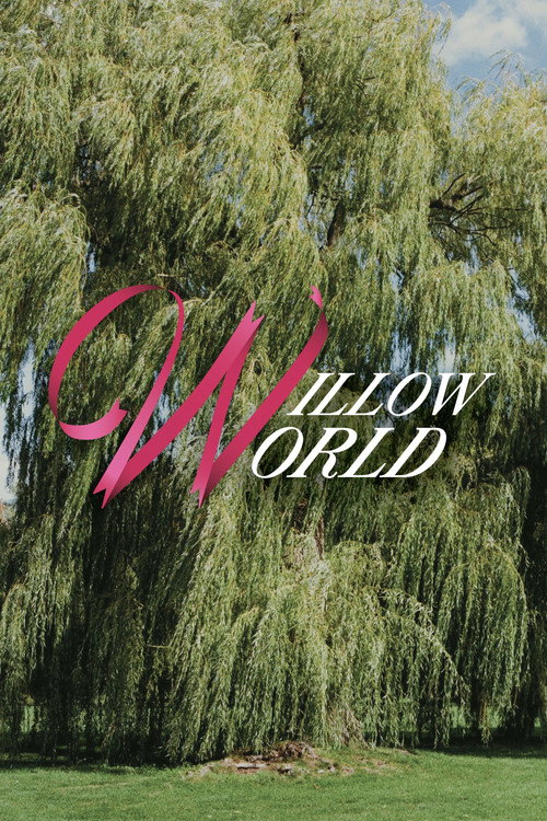 Willow World poster