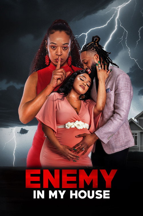 Enemy in My House poster