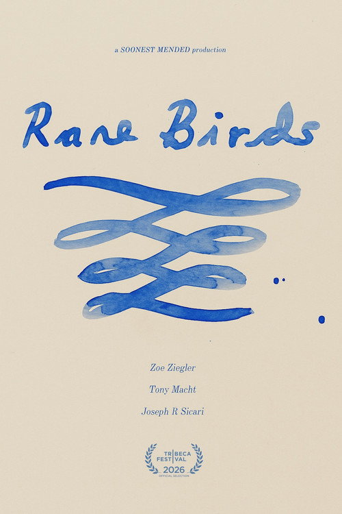 Rare Birds poster