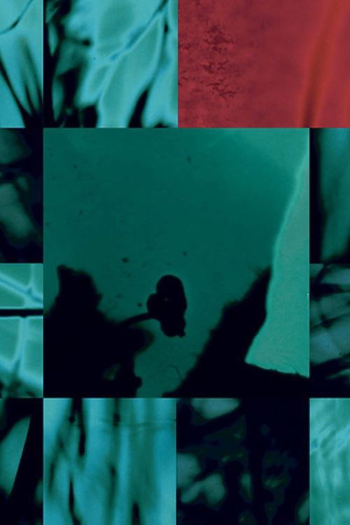 Disorient poster