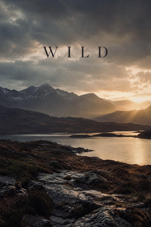 Wild poster