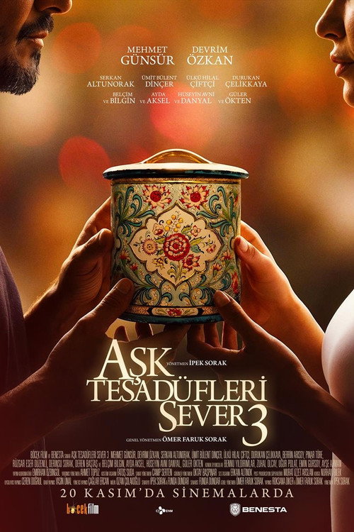 Aşk Tesadüfleri Sever 3 poster