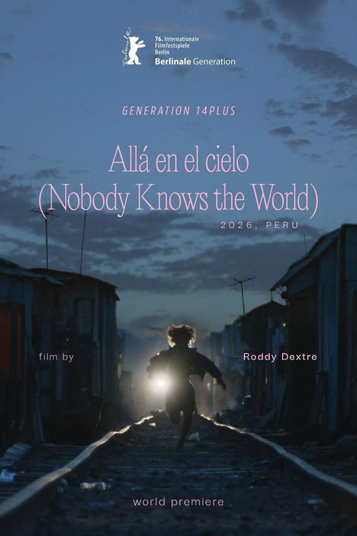 Nobody Knows the World poster