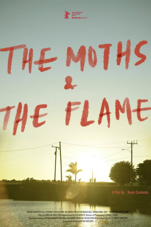 The Moths & the Flame poster