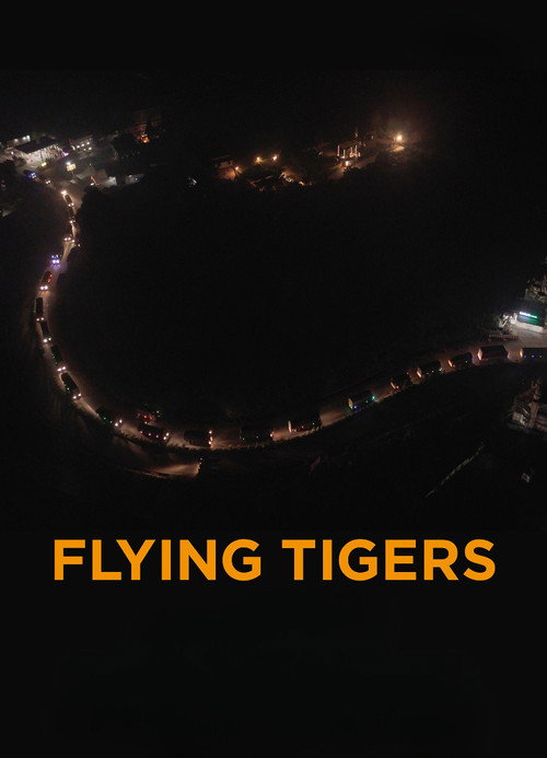 Flying Tigers poster