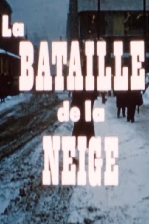 La Bataille de la neige poster
