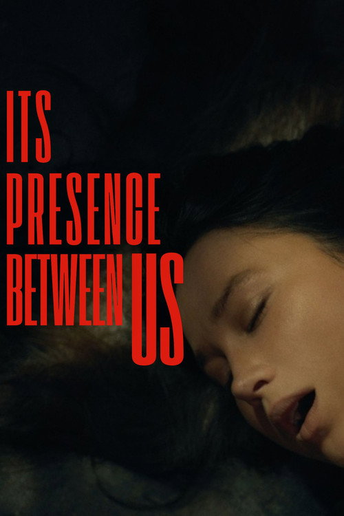 Its Presence Between Us poster
