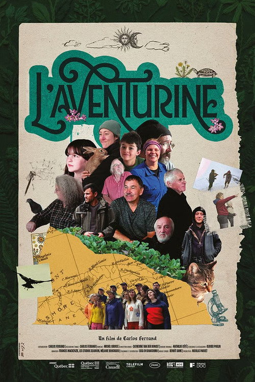 L'aventurine poster