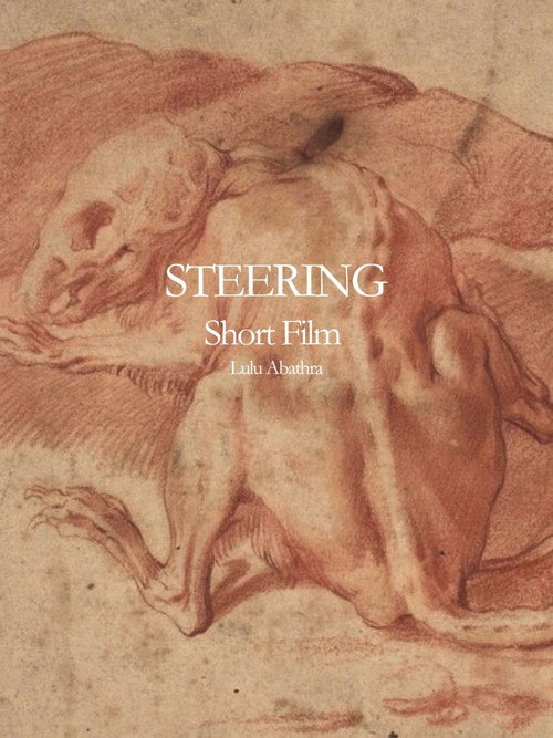 Steering poster