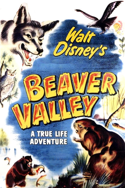 Beaver Valley poster