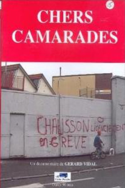 CHERS CAMARADES poster
