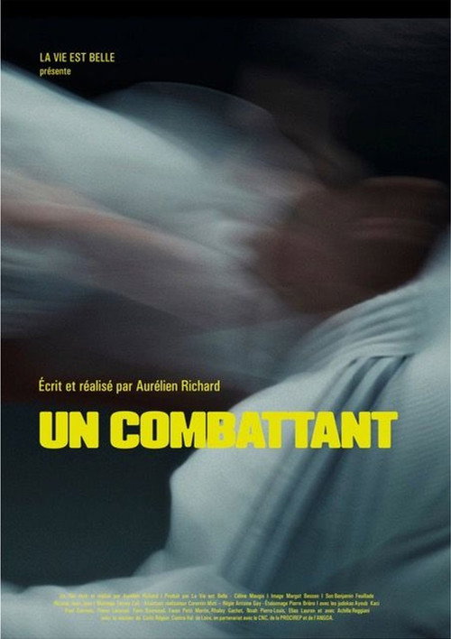 A fighter poster